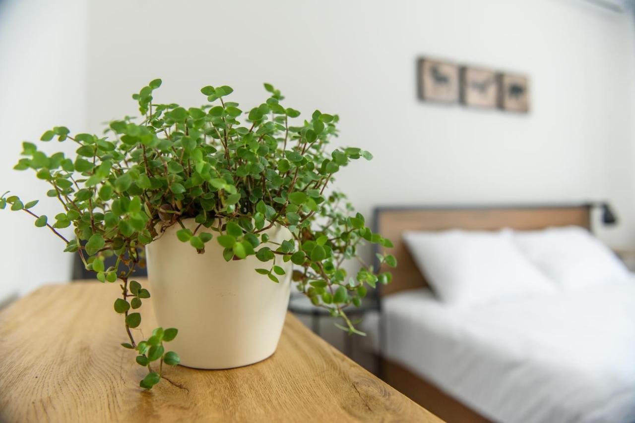 Aparthotel Tamtam Urban Kluż-Napoka Zewnętrze zdjęcie